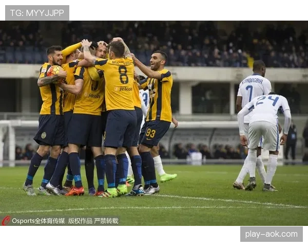 意甲联盟与某体育数据公司达成三年战略合作协议 意甲联盟与某体育数据公司达成三年战略合作协议