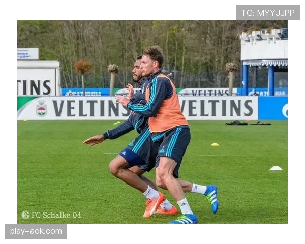 官方：沙尔克04传奇球员赫韦德斯将于今夏正式进入俱乐部管理层